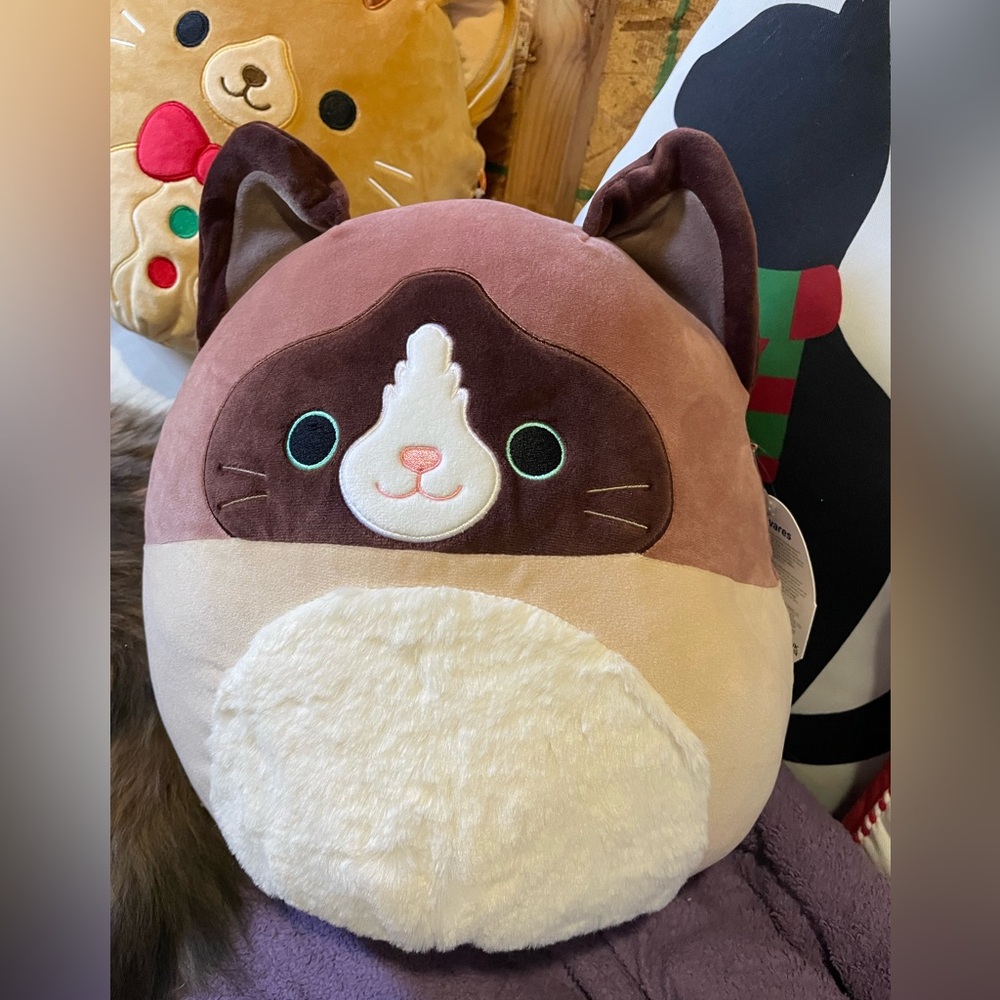 BNWT 12” Woodward Cat Squishmallow